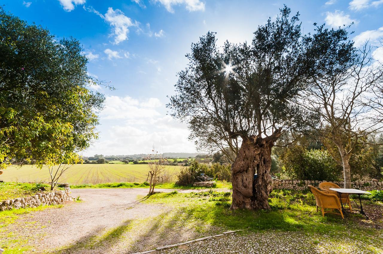 Sa Casa Rotja Farm stay